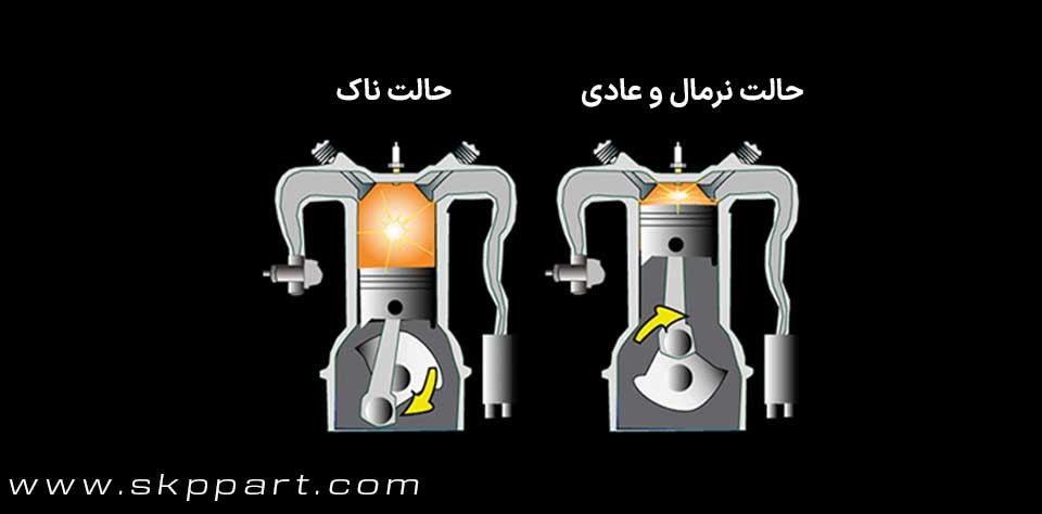 kncok1