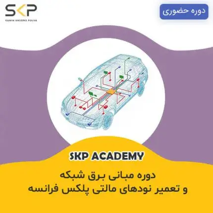 دوره آموزش شبکه و تعمیر نودهای مالتی پلکس فرانسه