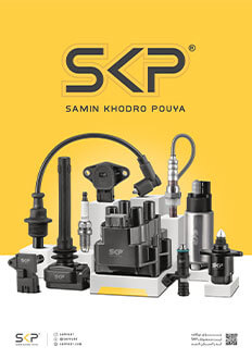 SKP BR COVER
